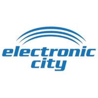 electronic_city.png